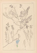 Herbier de la flore française Pl0431 - Louis Antoine Cusin — weergave van het kunstwerk