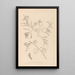 Herbier de la flore française Pl0435 - Louis Antoine Cusin — ingelijst kunstwerk aan de muur