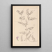 Herbier de la flore française Pl0443 - Louis Antoine Cusin — ingelijst kunstwerk aan de muur