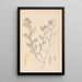Herbier de la flore française Pl0454 - Louis Antoine Cusin — ingelijst kunstwerk aan de muur