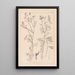 Herbier de la flore française Pl0464 - Louis Antoine Cusin | Reproduction — ingelijst kunstwerk aan de muur