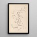 Herbier de la flore française Pl0479 - Louis Antoine Cusin — ingelijst kunstwerk aan de muur