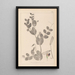 Herbier de la flore française Pl0491 - Louis Antoine Cusin — ingelijst kunstwerk aan de muur