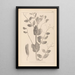 Herbier de la flore française Pl0492 - Louis Antoine Cusin — ingelijst kunstwerk aan de muur