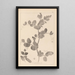 Herbier de la flore française Pl0493 - Louis Antoine Cusin — ingelijst kunstwerk aan de muur