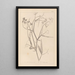 Herbier de la flore française Pl0508 - Louis Antoine Cusin — ingelijst kunstwerk aan de muur