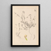 Herbier de la flore française Pl0541 - Louis Antoine Cusin — ingelijst kunstwerk aan de muur