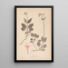 Herbier de la flore française Pl0687 - Louis Antoine Cusin — ingelijst kunstwerk aan de muur