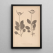 Herbier de la flore française Pl0688 - Louis Antoine Cusin — ingelijst kunstwerk aan de muur