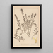 Herbier de la flore française Pl0873 - Louis Antoine Cusin — ingelijst kunstwerk aan de muur