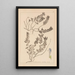 Herbier de la flore française Pl0879 - Louis Antoine Cusin — ingelijst kunstwerk aan de muur
