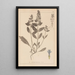 Herbier de la flore française Pl0896 - Louis Antoine Cusin — ingelijst kunstwerk aan de muur