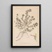 Herbier de la flore française Pl0903 - Louis Antoine Cusin — ingelijst kunstwerk aan de muur