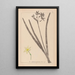 Herbier de la flore française Pl0971 - Louis Antoine Cusin — ingelijst kunstwerk aan de muur
