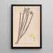 Herbier de la flore française Pl0973 - Louis Antoine Cusin — ingelijst kunstwerk aan de muur
