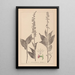 Herbier de la flore française Pl0988 - Louis Antoine Cusin — ingelijst kunstwerk aan de muur