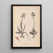Herbier de la flore française Pl1021 - Louis Antoine Cusin — ingelijst kunstwerk aan de muur