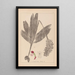 Herbier de la flore française Pl1032 - Louis Antoine Cusin — ingelijst kunstwerk aan de muur