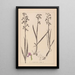 Herbier de la flore française Pl1034 - Louis Antoine Cusin — ingelijst kunstwerk aan de muur