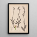 Herbier de la flore française Pl1050 - Louis Antoine Cusin — ingelijst kunstwerk aan de muur