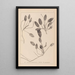 Herbier de la flore française Pl1071 - Louis Antoine Cusin — ingelijst kunstwerk aan de muur