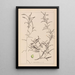 Herbier de la flore française Pl1073 - Louis Antoine Cusin — ingelijst kunstwerk aan de muur
