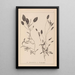 Herbier de la flore française Pl1074 - Louis Antoine Cusin — ingelijst kunstwerk aan de muur