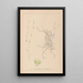 Herbier de la flore française Pl1091 - Louis Antoine Cusin — ingelijst kunstwerk aan de muur
