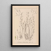 Herbier de la flore française Pl1092 - Louis Antoine Cusin — ingelijst kunstwerk aan de muur