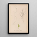 Herbier de la flore française Pl1097 - Louis Antoine Cusin — ingelijst kunstwerk aan de muur