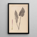 Herbier de la flore française Pl1108 - Louis Antoine Cusin — ingelijst kunstwerk aan de muur