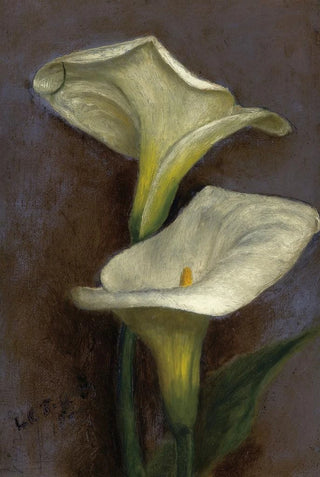 Louis Comfort Tiffany - Calla Lilies.webp