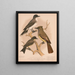 Een vogelkoning, een kruisstrekmussen, een pewee of phbe - Louis Prang Co — ingelijst kunstwerk aan de muur