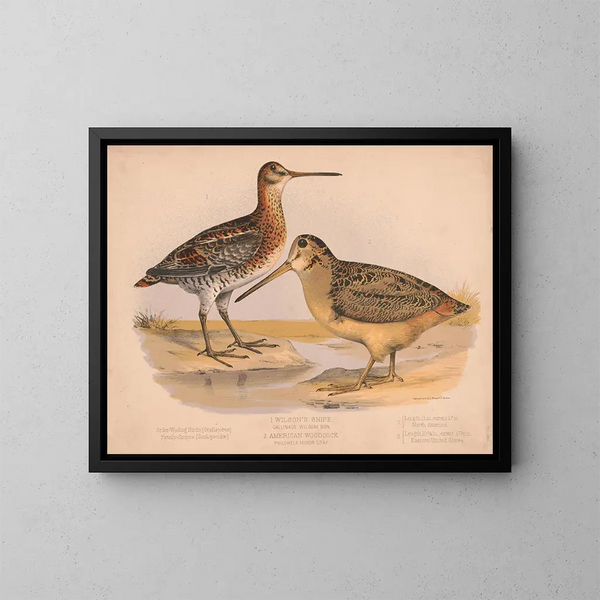 Bécassine painting by Wilson - Louis Prang Co — framed artwork on a wall