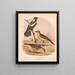Een bobolink of rijstvogel, man in de zomer, man in de winter, vrouwtje - Louis Prang Co — ingelijst kunstwerk aan de muur