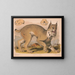 Lynx du Canada - Louis Prang Co — ingelijst kunstwerk aan de muur