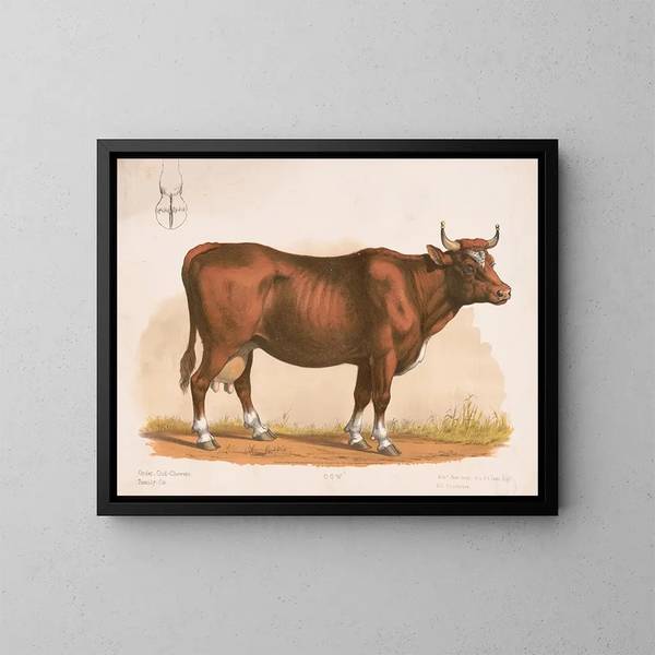 Cow - Louis Prang Co — framed artwork on a wall