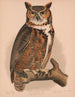Uil - Louis Prang Co — weergave van het kunstwerk