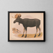 Europees eland Alces malchis - Louis Prang Co — ingelijst kunstwerk aan de muur