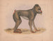 Mormon Maimon Gray - Louis Prang Co — weergave van het kunstwerk
