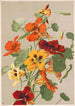 Capucines - Louis Prang Co — weergave van het kunstwerk