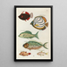 Poissons, kreeften en krabben in diverse kleuren en buitengewone figuren Pl025 - Louis Renard — ingelijst kunstwerk aan de muur