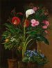 Oranger Streptocarpus Oleander Un Calla Lily Et Des Fleurs De Cactus - Louise Garlieb — weergave van het kunstwerk
