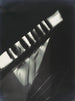 Fotogram - László Moholy-Nagy — weergave van het kunstwerk