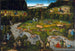 Jacht bij het kasteel van Hartenfels - Lucas Cranach de Oude — weergave van het kunstwerk