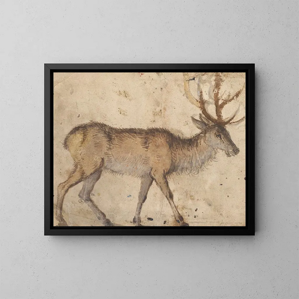Studie van een hert - Lucas Cranach de Oude — ingelijst kunstwerk aan de muur