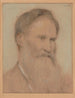 Portret van een man - Lucien Wollès — weergave van het kunstwerk