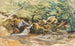 Studie van waterval en struiken - Ludwig Correggio — weergave van het kunstwerk