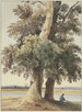 Twee bomen aan de rivier - Ludwig Daniel Philipp Schmidt — weergave van het kunstwerk