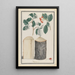 Studiem van bladeren, bloemen, vruchten en stam van een lijsterbes Sorbus onder-genre Aria - Ludwig Pfleger — ingelijst kunstwerk aan de muur